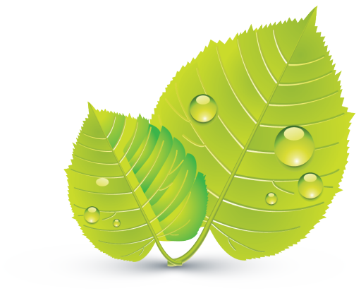 All our software applications and office suites are certified green because they all do not use any system resources. The best and smallest green software is only available from SSuite Office Software, the greenest company on the internet by far! These office suites are suitable for Desktop Computers, laptops, ultrabooks and Surface Pro Tablets, or just old and crappy computers. Free SSuite Office Software and Suites including free downloads of Microsoft Software Applications.